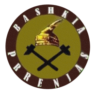 https://prefektielbasan.gov.al/wp-content/uploads/2024/09/bashkiaperrenjas.png