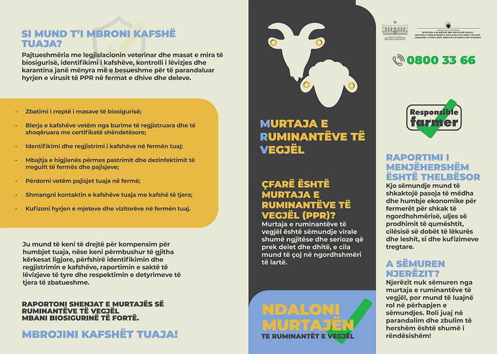 https://prefektielbasan.gov.al/wp-content/uploads/2025/06/1.jpg